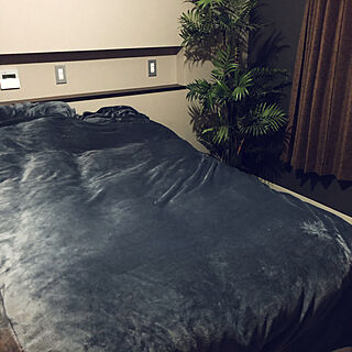 ベッド周り/寝室/Bed Room/寝室インテリア/フェイクグリーンのインテリア実例 - 2021-01-30 23:14:09