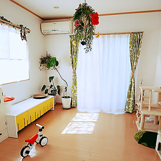 部屋全体/観葉植物/ナチュラル/北欧/ねこと暮らす。...などのインテリア実例 - 2019-11-13 11:07:01