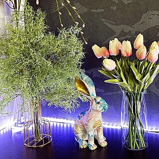 春のディスプレイ/ボタニカルアートをプリントされたウサギ/アーティフィシャル フラワー/好きな風景/SHEIN...などのインテリア実例 - 2023-02-26 11:10:39