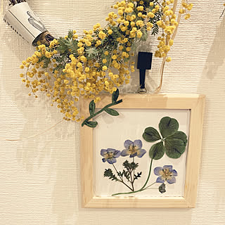 見て下さって感謝です♡/押し花フレーム ハンドメイド/いつも見てくださってありがとう♡♡/花とグリーンのある暮らし/壁/天井のインテリア実例 - 2020-06-01 18:56:19