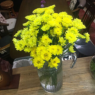 黄色い花/花のある暮らし/ほっこり/あたたかい暮らし/癒しの空間...などのインテリア実例 - 2020-03-30 21:16:00