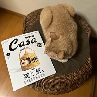 雑誌/ねこのいる日常/猫と暮らす/ガムレフルト/部屋全体...などのインテリア実例 - 2022-05-30 21:26:00