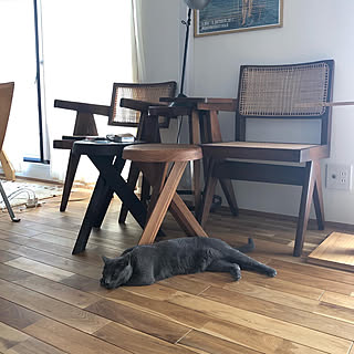 Pierre Chapo/Pierre Jeanneret/無垢フローリング/ヴィンテージ家具/猫とインテリア...などのインテリア実例 - 2020-08-23 12:30:21