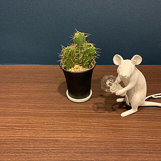 mouse lamp/サボテン/書斎/書斎2畳/机のインテリア実例 - 2020-04-22 20:56:55