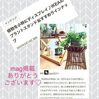 mag掲載ありがとうございます♡/グリーンのある暮らし/キロク*.゜/窓辺のインテリア/RCの出会いに感謝♡...などのインテリア実例 - 2023-02-12 21:26:09