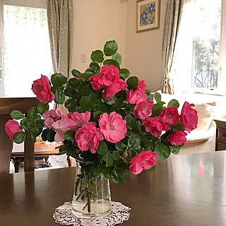 部屋全体/5月14日/薔薇が好き/ガーデニング♡/花のある暮らし...などのインテリア実例 - 2017-05-14 09:11:35