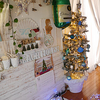 板張りの壁DIY/LEDライト/流木インテリア/ニトリのクリスマスツリー/植物のある暮らし...などのインテリア実例 - 2019-12-24 13:43:28