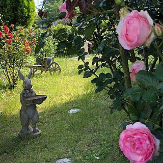 玄関/入り口/薔薇の花/ガーデン雑貨のインテリア実例 - 2018-05-21 23:56:29