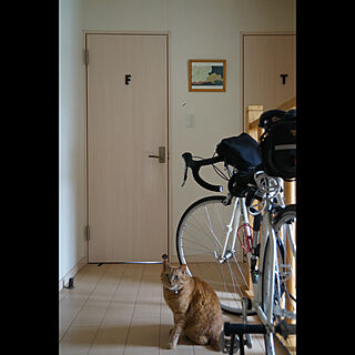 猫/ねこと暮らす/ロードバイク/わが家のドア/100均...などのインテリア実例 - 2023-02-07 10:13:05
