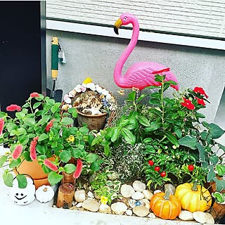 玄関/入り口/北欧/観葉植物/ダイソー/ハロウィン...などのインテリア実例 - 2016-09-24 17:43:24