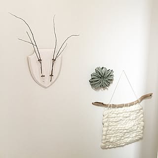 壁/天井/mi-さんのキセログラフィカ/ウォールデコ/ecodeer/wall vase...などのインテリア実例 - 2016-07-20 14:39:29