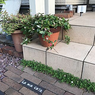 玄関/入り口/ガーデニング/グリーンのある暮らし/花のある風景のインテリア実例 - 2017-05-30 06:23:32