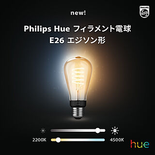 Philips Hue/スマート照明/スマートホーム/カフェ風インテリア/エジソン電球...などのインテリア実例 - 2023-06-28 13:43:59