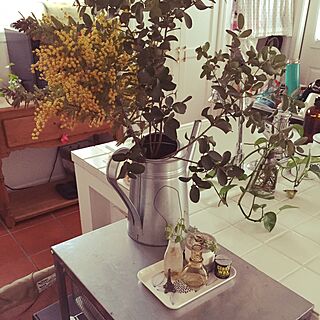 キッチン/観葉植物/IKEAのインテリア実例 - 2016-03-27 17:15:33