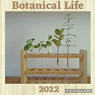 机/新年の抱負/Botanical life /植物のチカラ/アロマティカス...などのインテリア実例 - 2022-01-08 00:35:12