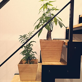 部屋全体/IKEA/スケルトン階段/観葉植物/観葉植物のある暮らしのインテリア実例 - 2018-10-06 21:22:56