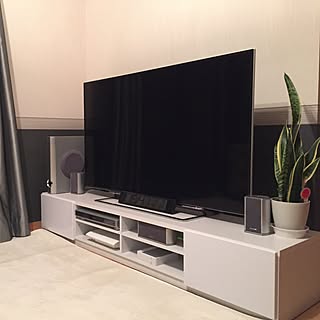 部屋全体/REGZA 58Z10X/テレビ/テレビボード/観葉植物...などのインテリア実例 - 2015-08-05 19:43:53