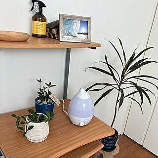 加湿器/鉢が好き♡/journal standard Furniture/植物が好き/植物のある暮らし...などのインテリア実例 - 2023-02-21 20:04:19