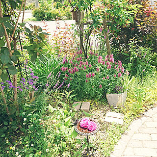 玄関/入り口/休日の過ごし方/植物のある暮らし/花のある暮らし/北海道...などのインテリア実例 - 2021-06-29 11:16:50