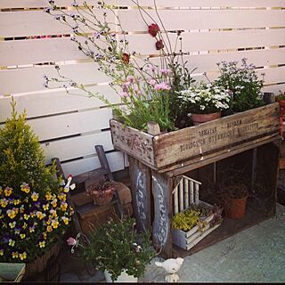 玄関/入り口/小庭(小さい庭というか玄関までの通路)/DIY/植物のインテリア実例 - 2013-05-05 16:11:02