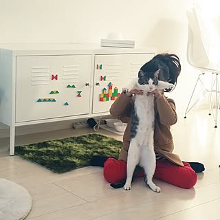 ココくん/ねこ/引っ越し後/半年前/IKEA...などのインテリア実例 - 2015-08-23 14:20:35