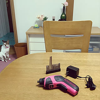 電動ドライバー/おうち撮影クエスト/犬と猫のいる暮らし/猫のいる日常/ガラス雑貨...などのインテリア実例 - 2020-09-12 07:32:11