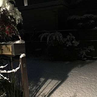 雪/寒いっ‼︎のインテリア実例 - 2018-01-14 02:08:57