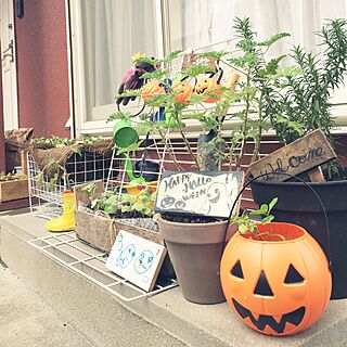 玄関/入り口/ハロウィン/ナチュラル/ハンドメイド/DIY...などのインテリア実例 - 2016-09-21 11:19:54