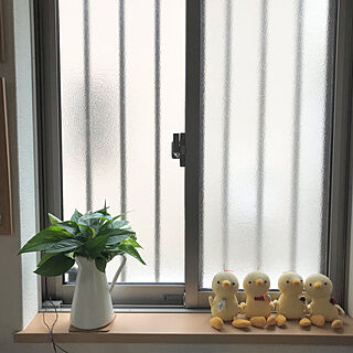 ポトス水挿し/ポトス/観葉植物/窓/IKEA...などのインテリア実例 - 2021-06-16 14:14:34