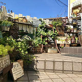 部屋全体/お花寄せ植え/階段/ガーデニング/ナンバープレート...などのインテリア実例 - 2018-10-18 11:57:44