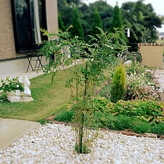 玄関/入り口/花壇の花/gardening/植物/にわ...などのインテリア実例 - 2014-10-20 14:45:59