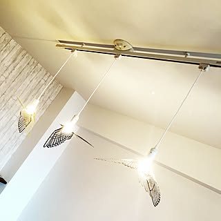 壁/天井/バードライト/照明のインテリア実例 - 2015-06-15 23:11:00