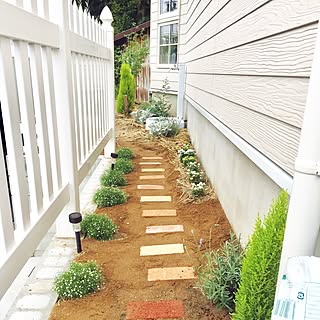 庭 飛び石のおしゃれなインテリアコーディネート レイアウトの実例 Roomclip ルームクリップ