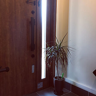 LIXIL玄関ドア/観葉植物/玄関/入り口のインテリア実例 - 2020-03-15 17:17:47