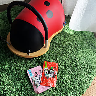 春よこいこい♪/永六輔/中村佑介/聖マリア様虫/ladybug...などのインテリア実例 - 2022-03-10 21:17:58