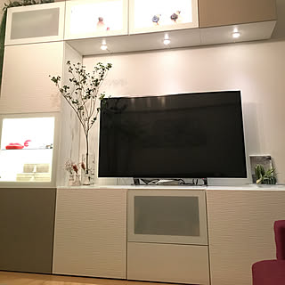 エアプランツ/フランフラン/ZARA HOME/どうだんツツジ/IKEA テレビボード...などのインテリア実例 - 2017-09-05 18:28:06