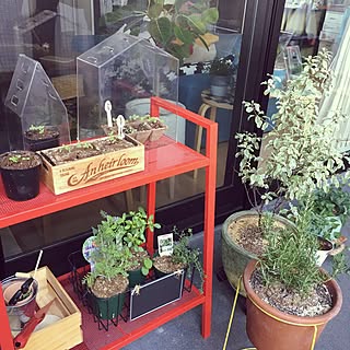 玄関 入り口 日当たり最高に 悪い のインテリア実例 Roomclip ルームクリップ 玄関 入り口 日当たり最高に 悪い のインテリア実例 Roomclip ルームクリップ