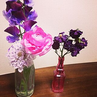 植物/今週のお花のインテリア実例 - 2013-01-13 19:35:51