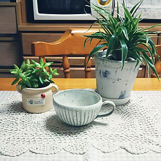 キッチン/観葉植物/多肉植物♡のインテリア実例 - 2016-09-17 21:02:00