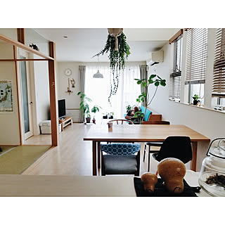 部屋全体/ウッドブラインド/IG→yumi_hutte/ハンギングプランツ/観葉植物...などのインテリア実例 - 2021-07-28 11:53:20