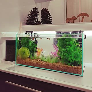 人工水草のインテリア実例 Roomclip ルームクリップ