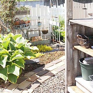 玄関/入り口/DIY/ﾚﾝｶﾞの小道DIY/ﾚﾝｶﾞの小道/DIY GARDEN...などのインテリア実例 - 2015-05-11 10:45:23