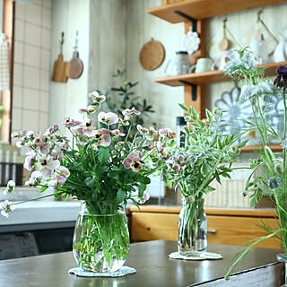 壁/天井/花のある暮らし/植物のある暮らし/一人暮らしインテリア/季節を楽しむ暮らし...などのインテリア実例 - 2023-05-15 21:08:24