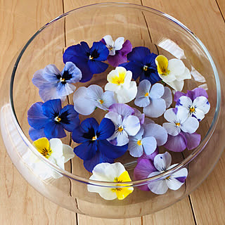 花がら摘みのインテリア実例 Roomclip ルームクリップ