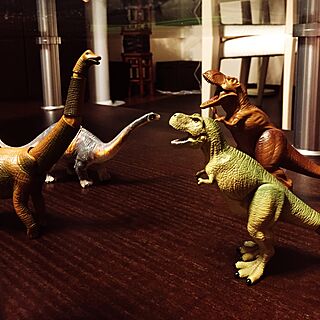 棚/恐竜のおもちゃのインテリア実例 - 2016-11-06 23:56:32