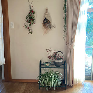 サルトリイバラのインテリア実例 Roomclip ルームクリップ