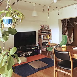 部屋全体/ハンモックチェアー/団地リノベーション/アボカド育ててます。/観葉植物...などのインテリア実例 - 2017-05-04 11:49:54