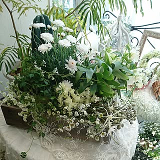 バス/トイレ/NO GREEN NO LIFE/観葉植物のある部屋/花のある暮らし/テーブルクロス...などのインテリア実例 - 2017-03-07 09:21:07