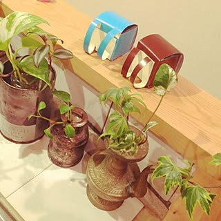 キッチン/こどもの作品/ランドセル/グリーン/植物のある部屋...などのインテリア実例 - 2014-04-05 21:44:21