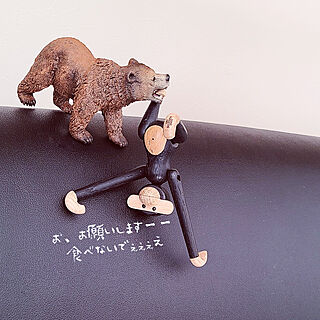 棚/シュライヒ/Schleich/動物フィギュア/Luv♡Rose...などのインテリア実例 - 2022-11-03 11:14:09